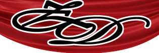 zeindecor.com